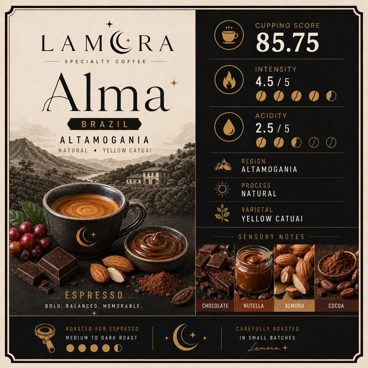 ALMA ☾✦
