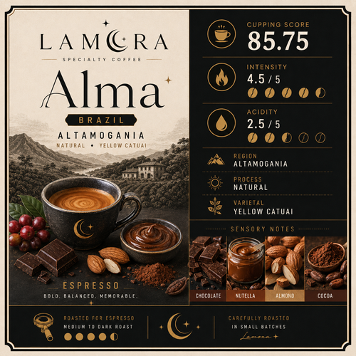 ALMA ☾✦