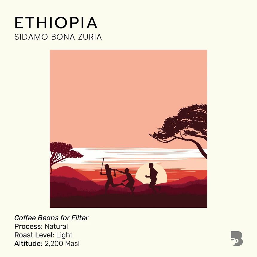 The Baristro Ethiopia Sidamo Bona Zuria specialty coffee beans – alternate view