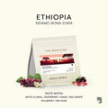 The Baristro Ethiopia Sidamo Bona Zuria specialty coffee beans