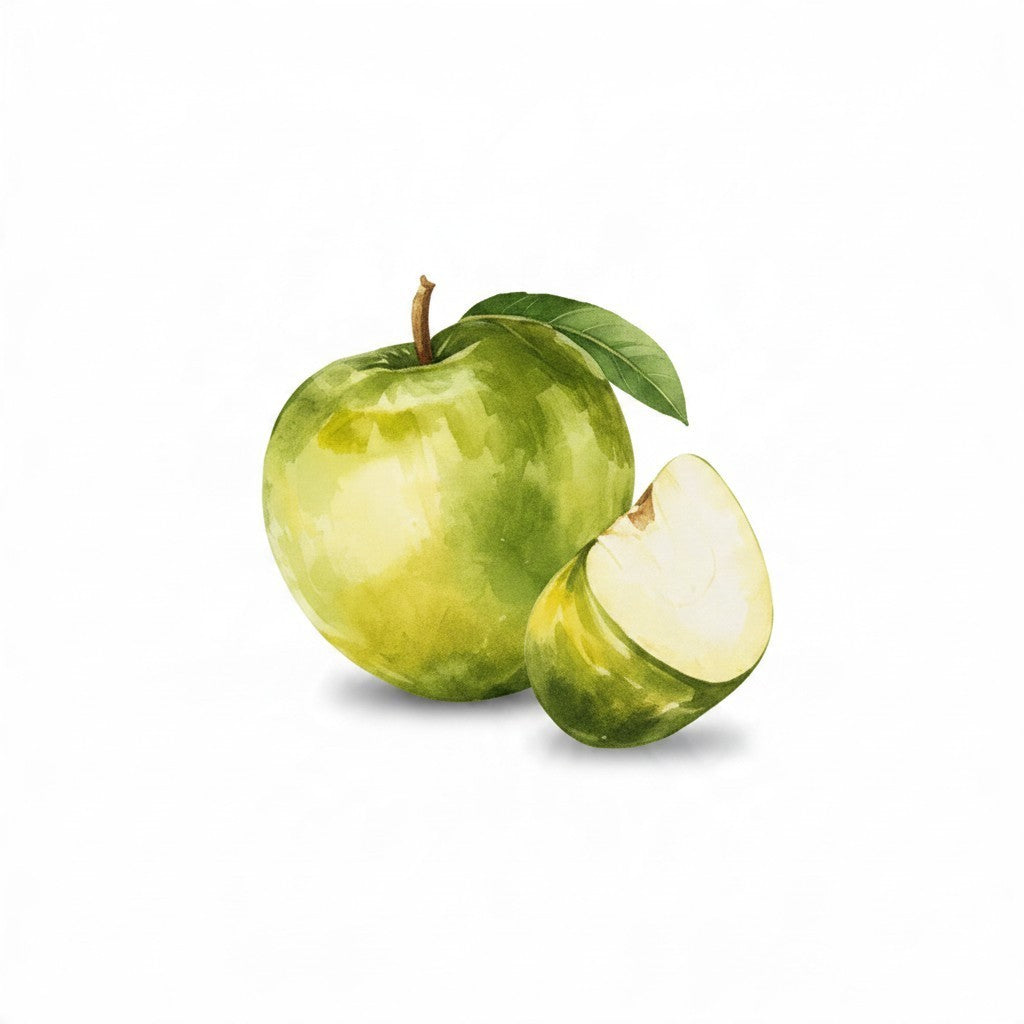 Lamora The Baristro Apple Blend specialty coffee drip bag featuring a watercolor illustration of a green apple