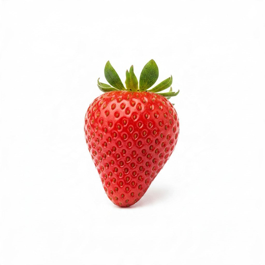 Lamora Blend Strawberry Land coffee features fresh red strawberry imagery representing its fruity flavor profile