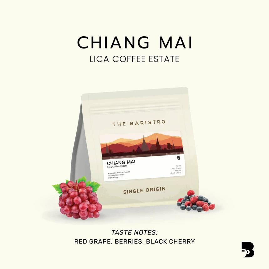 Light roast coffee beans - Chiang Mai Lica Coffee Estate